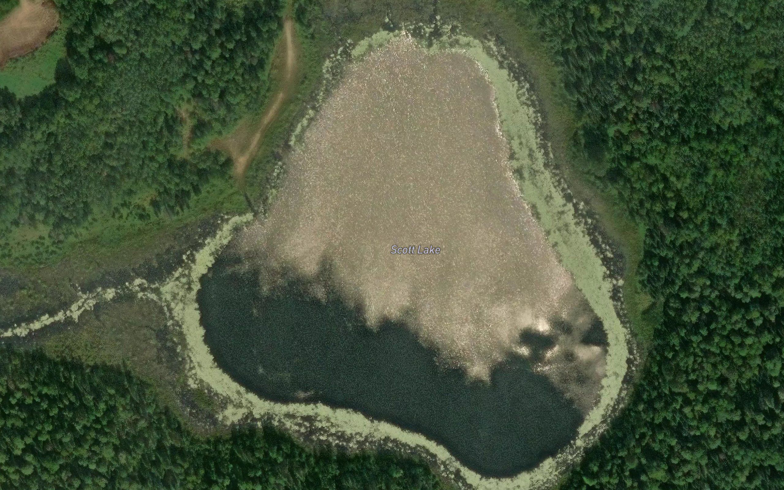 Scott Lake
