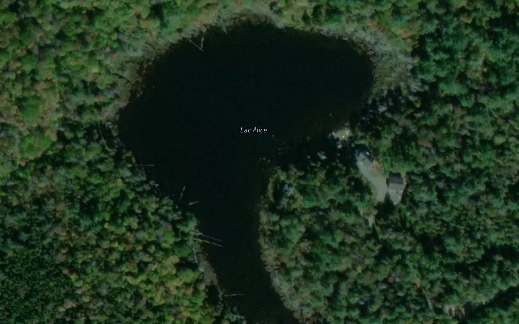 Satellite map of the Lac Alice
