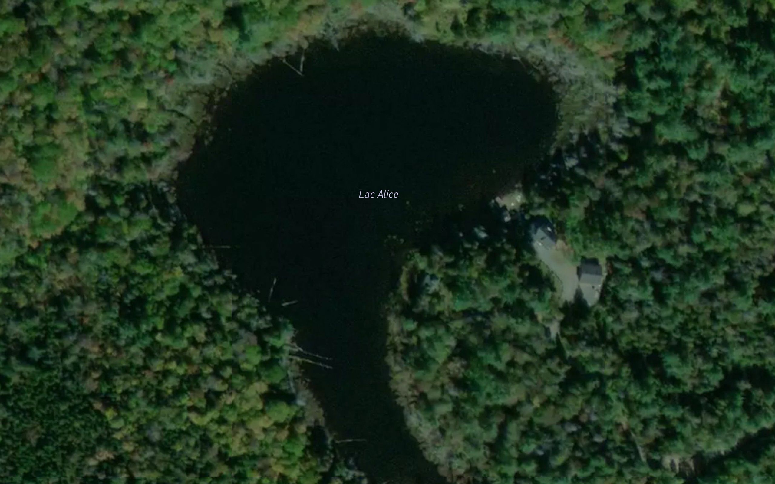 Lac Alice