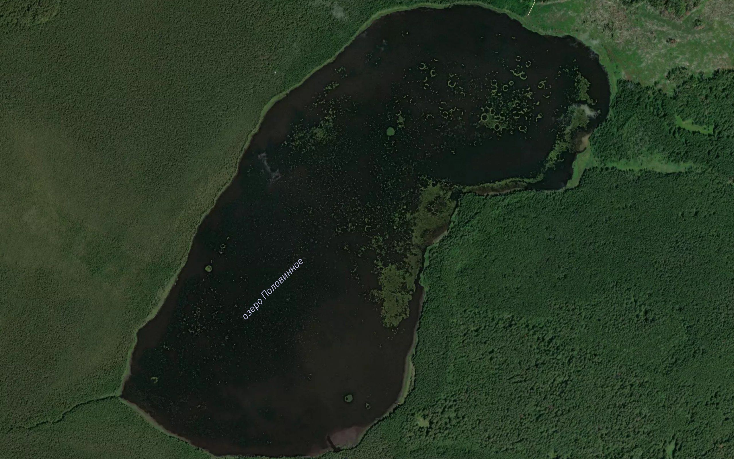 Ozero Polovinnoye