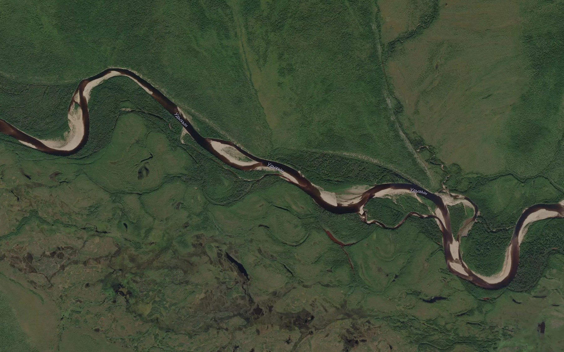 Satellite map of the Bolotnyy