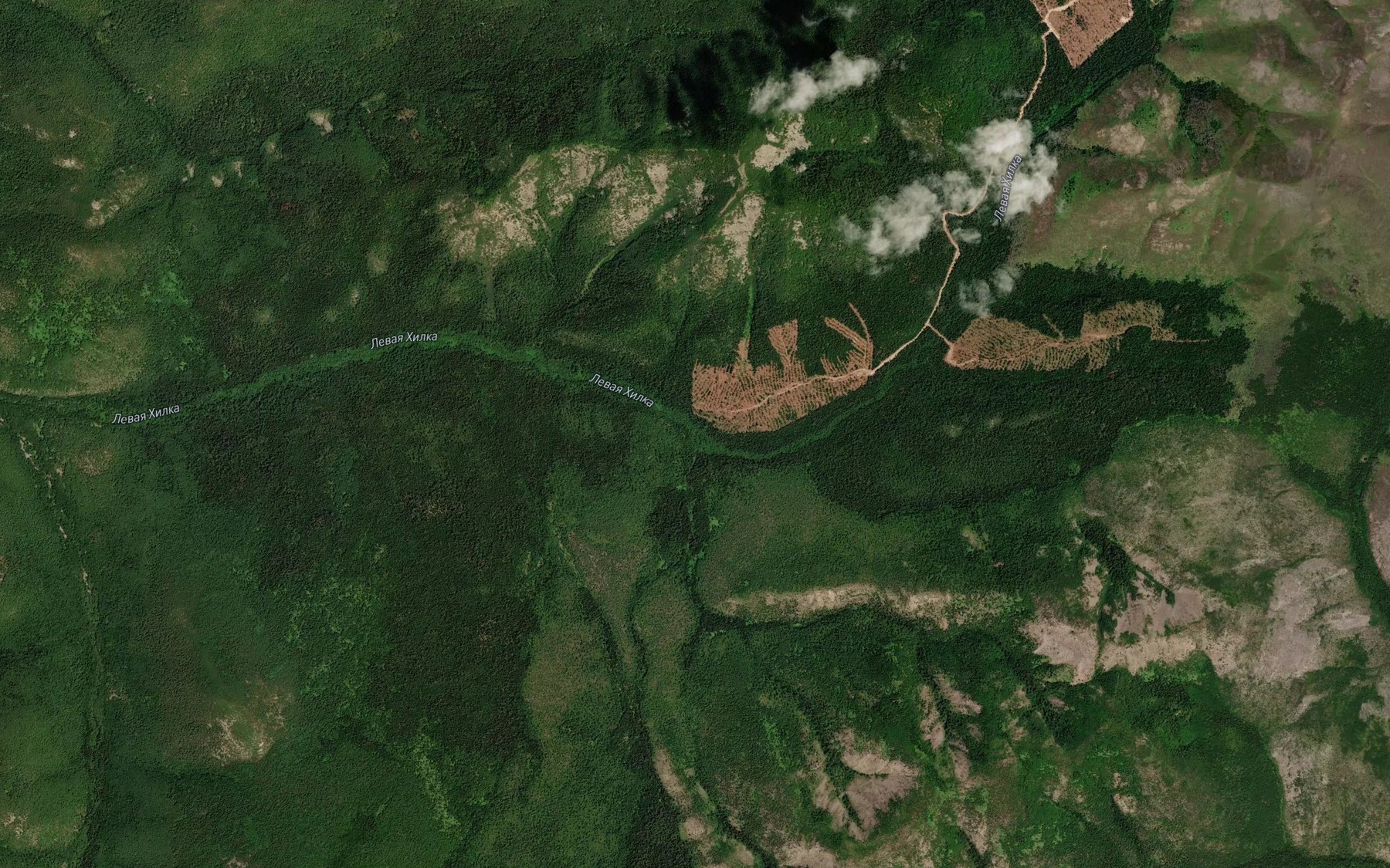 Satellite map of the Figurnyy