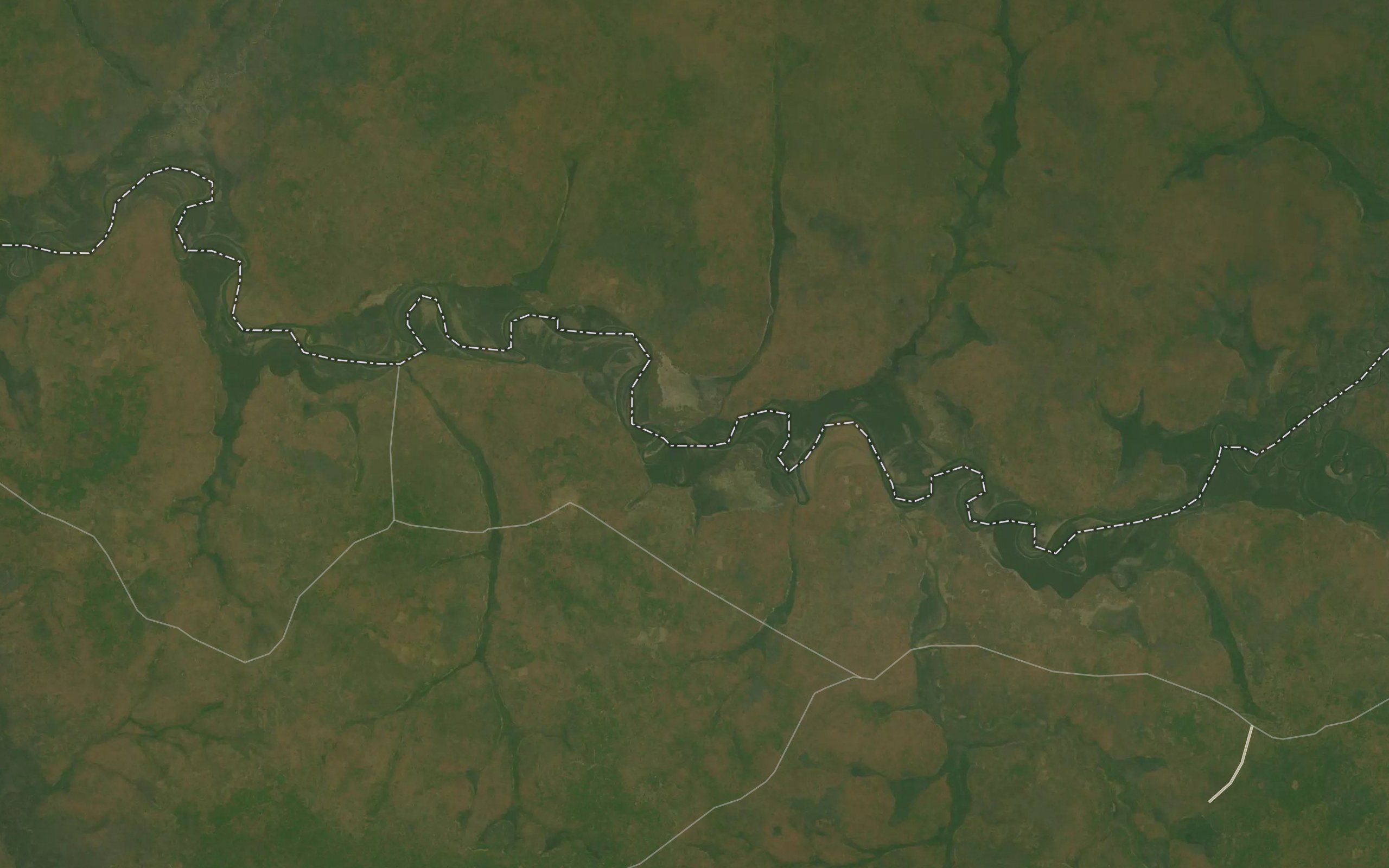 Mbungo