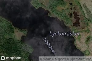 Lyckotrask
