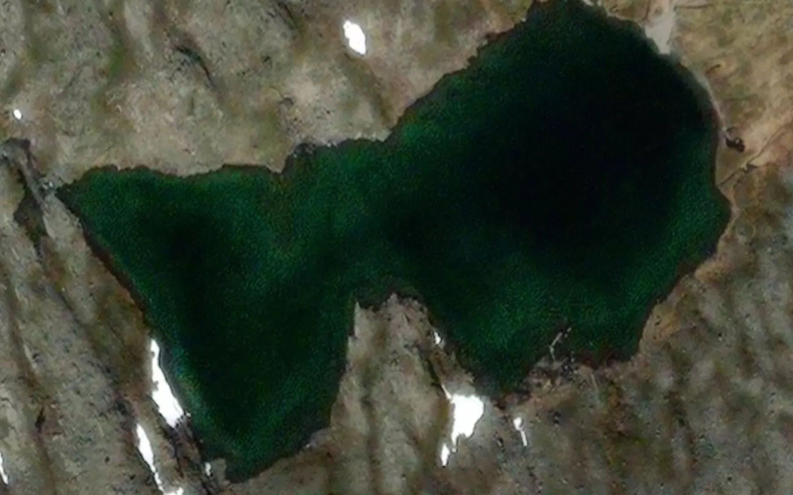 Rassenjarvarejavri