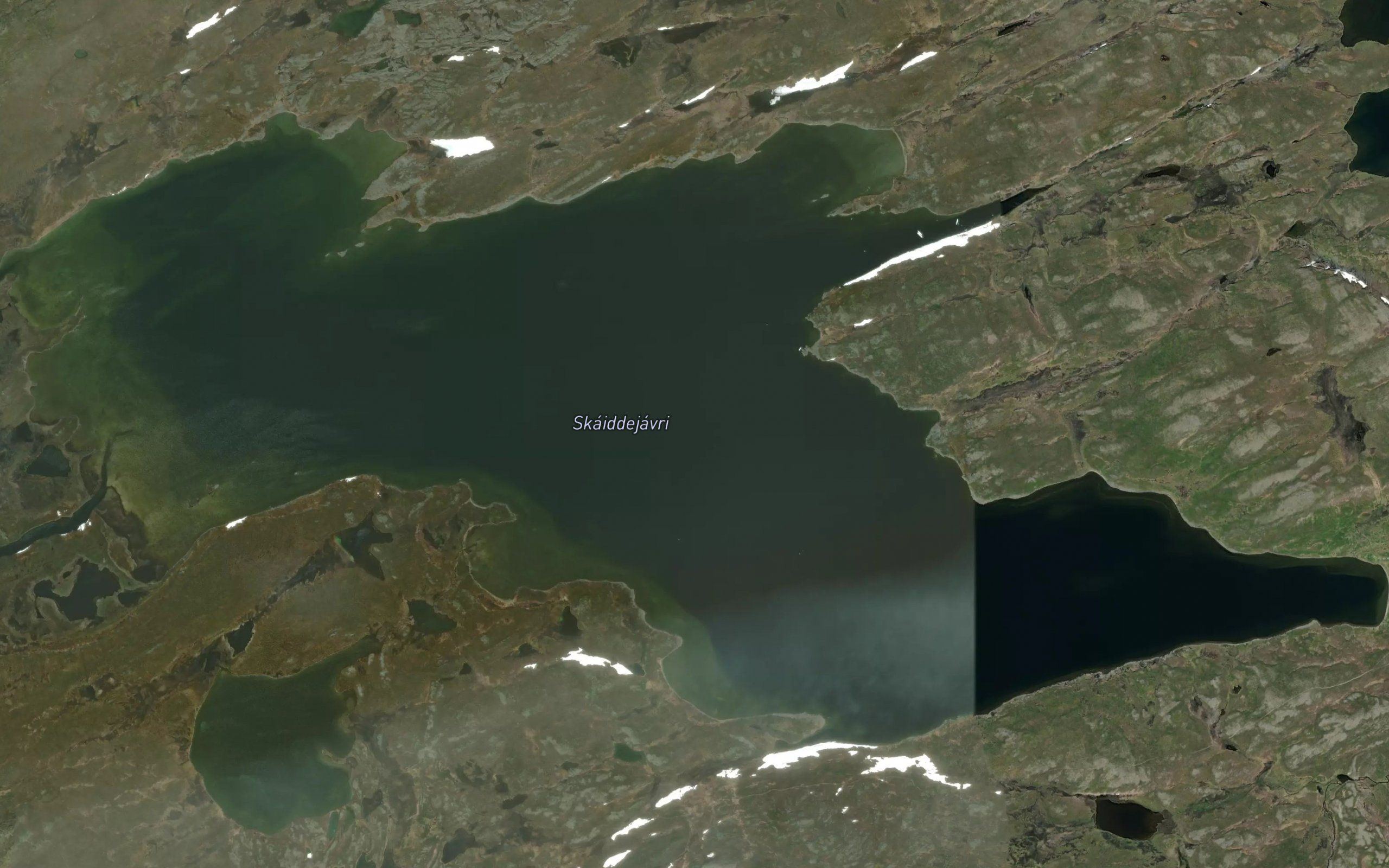 Skaidajavri