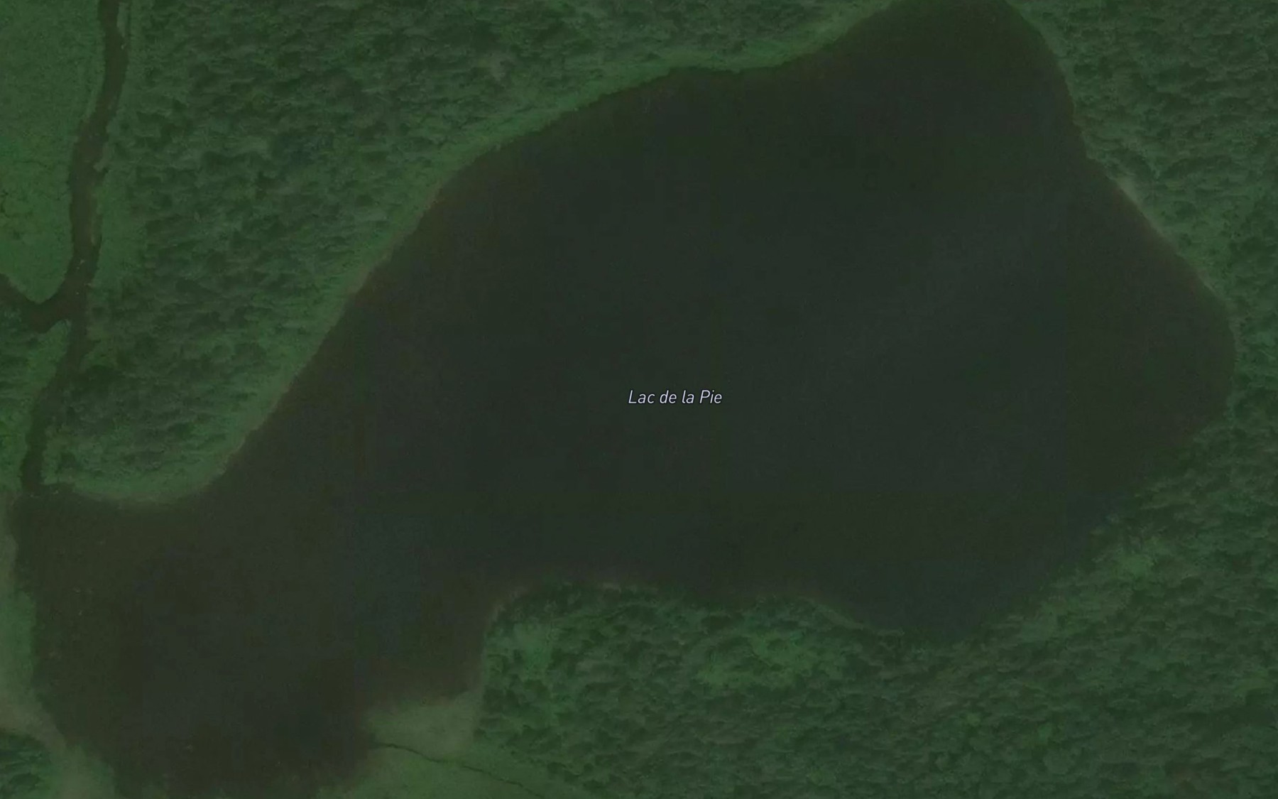Satellite map of the Lac de la Pie