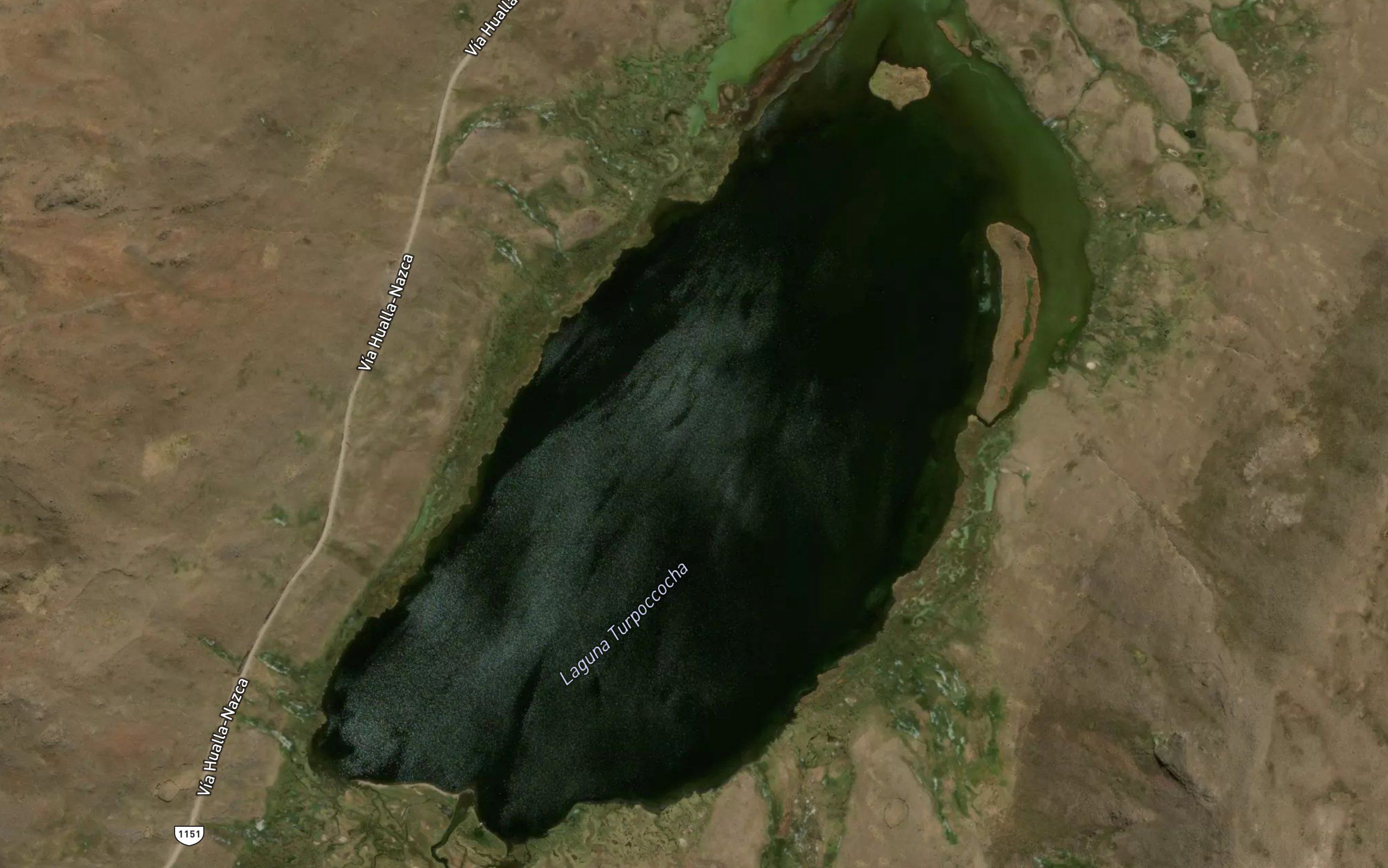 Laguna Turpoccocho