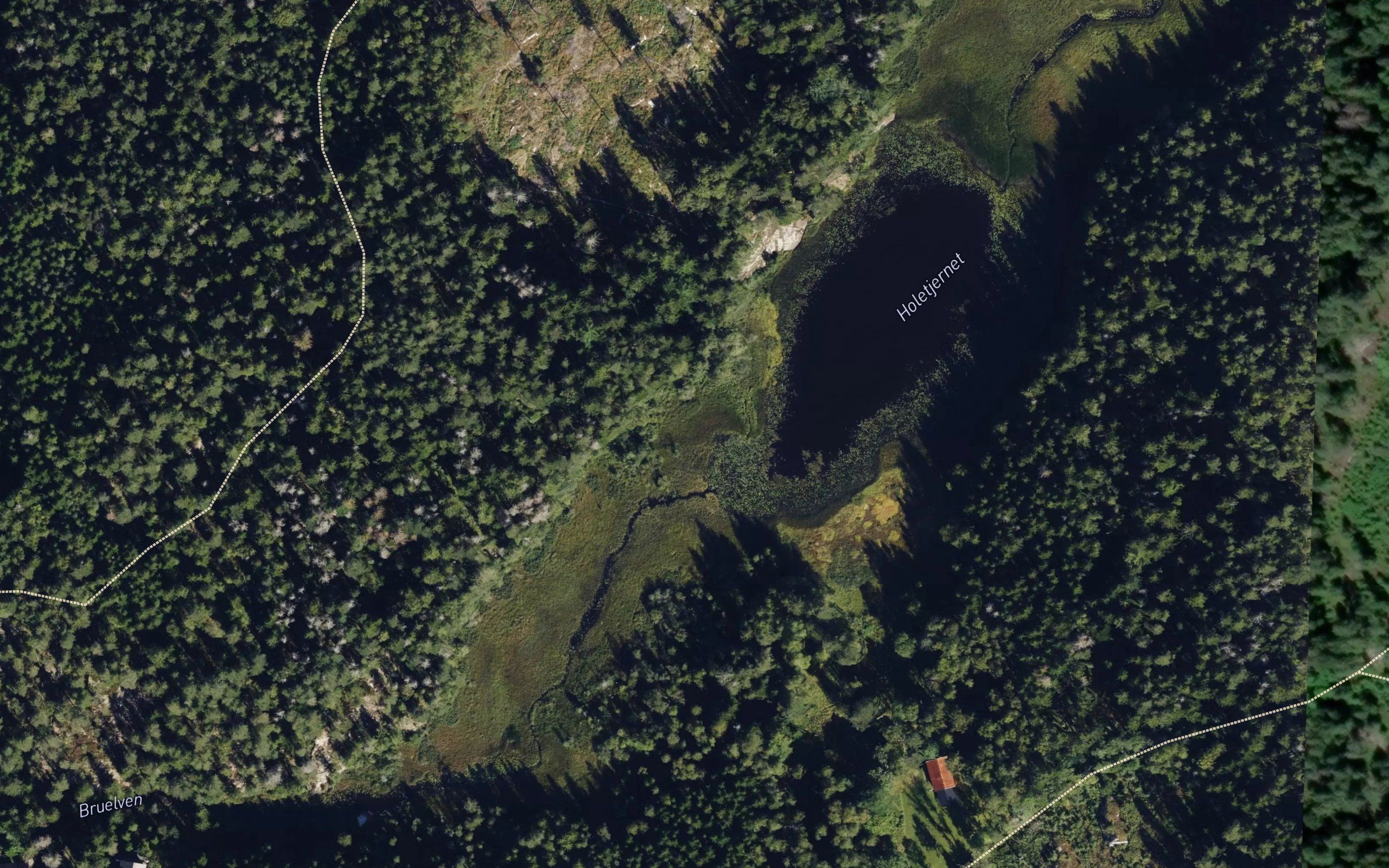 Holetjernet
