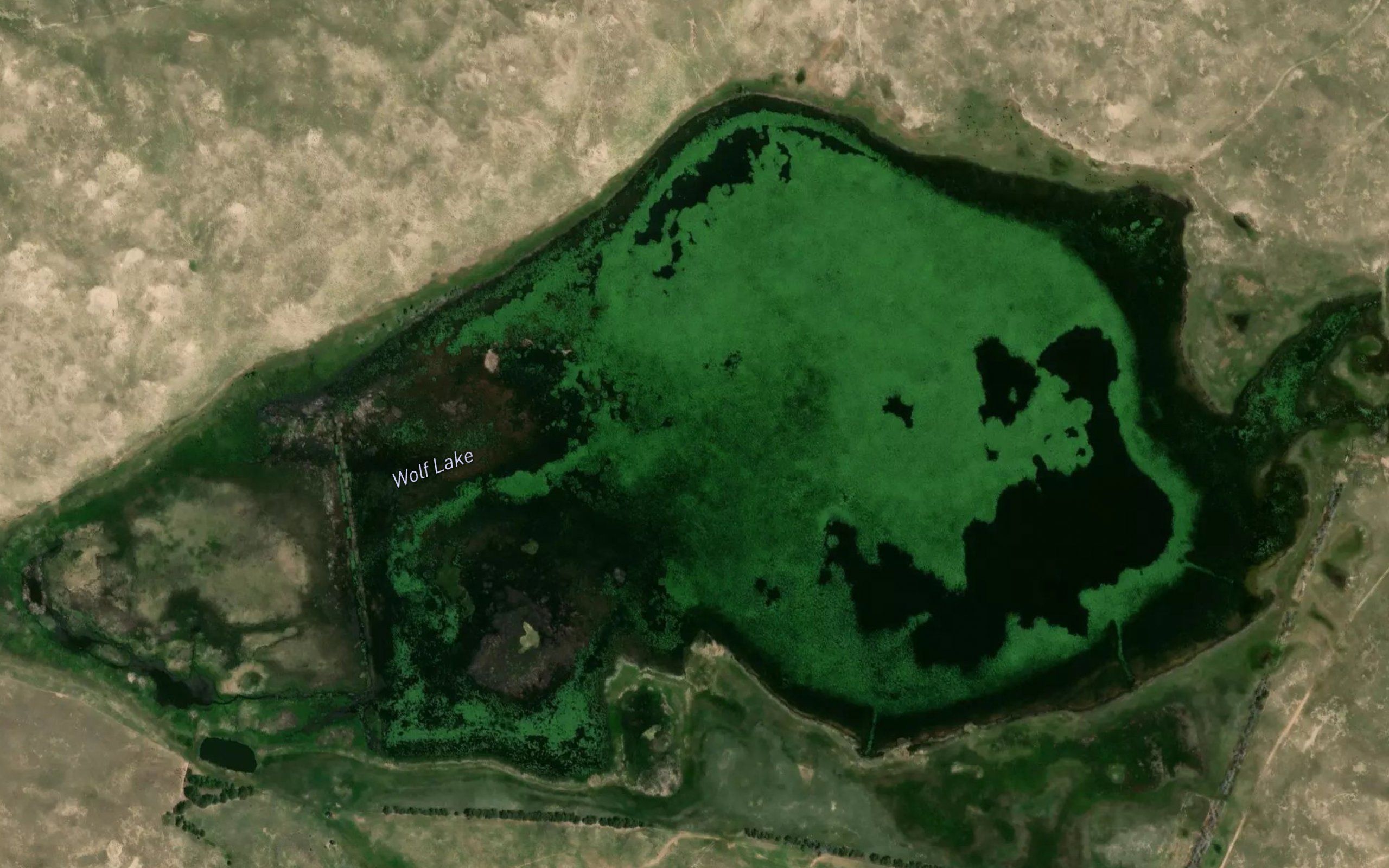 Wolf Lake