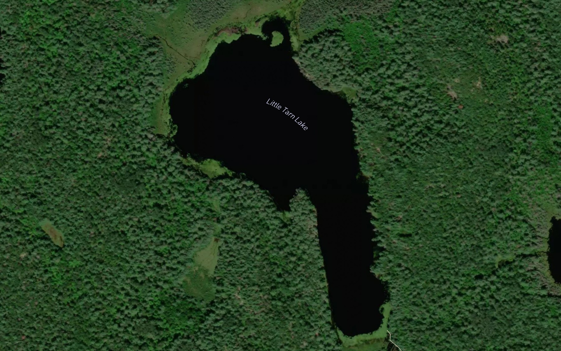 Satellite map of the Little Tarn Lake