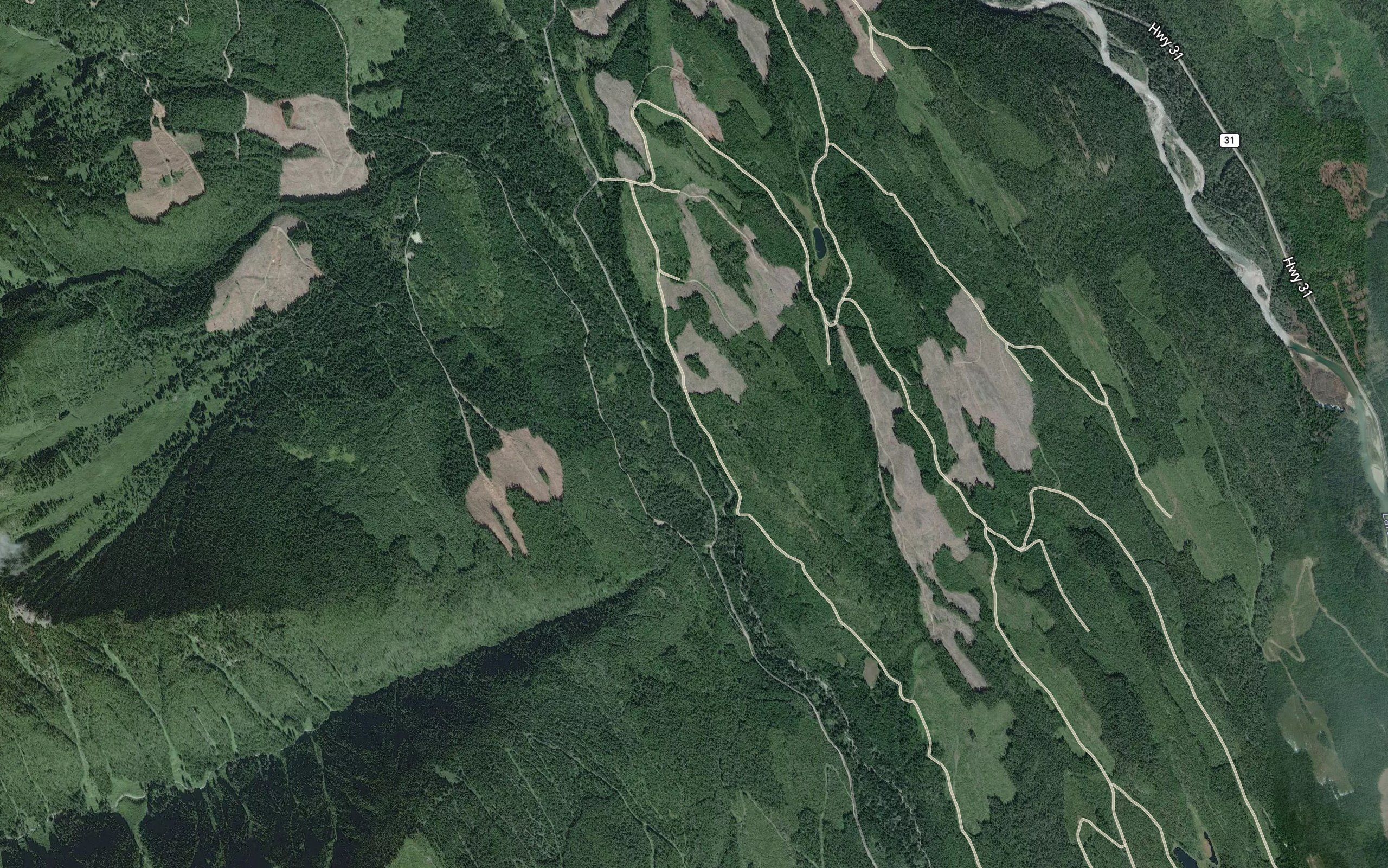 Mat Creek
