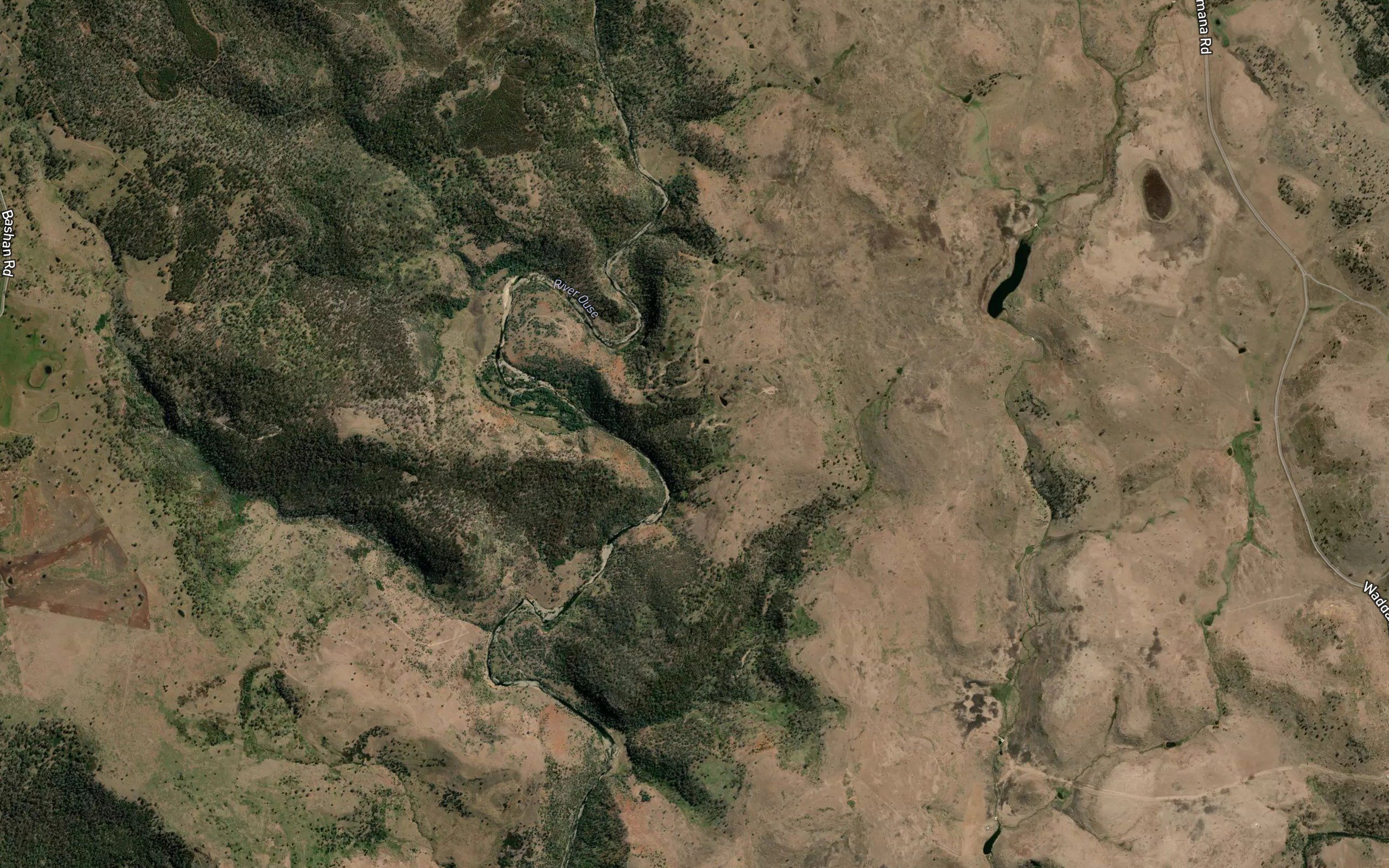 Bashan Plains Rivulet