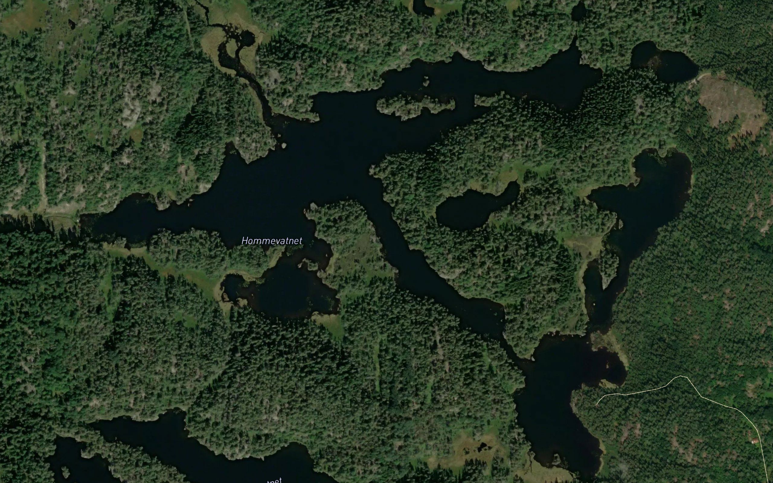 Hommevatnet