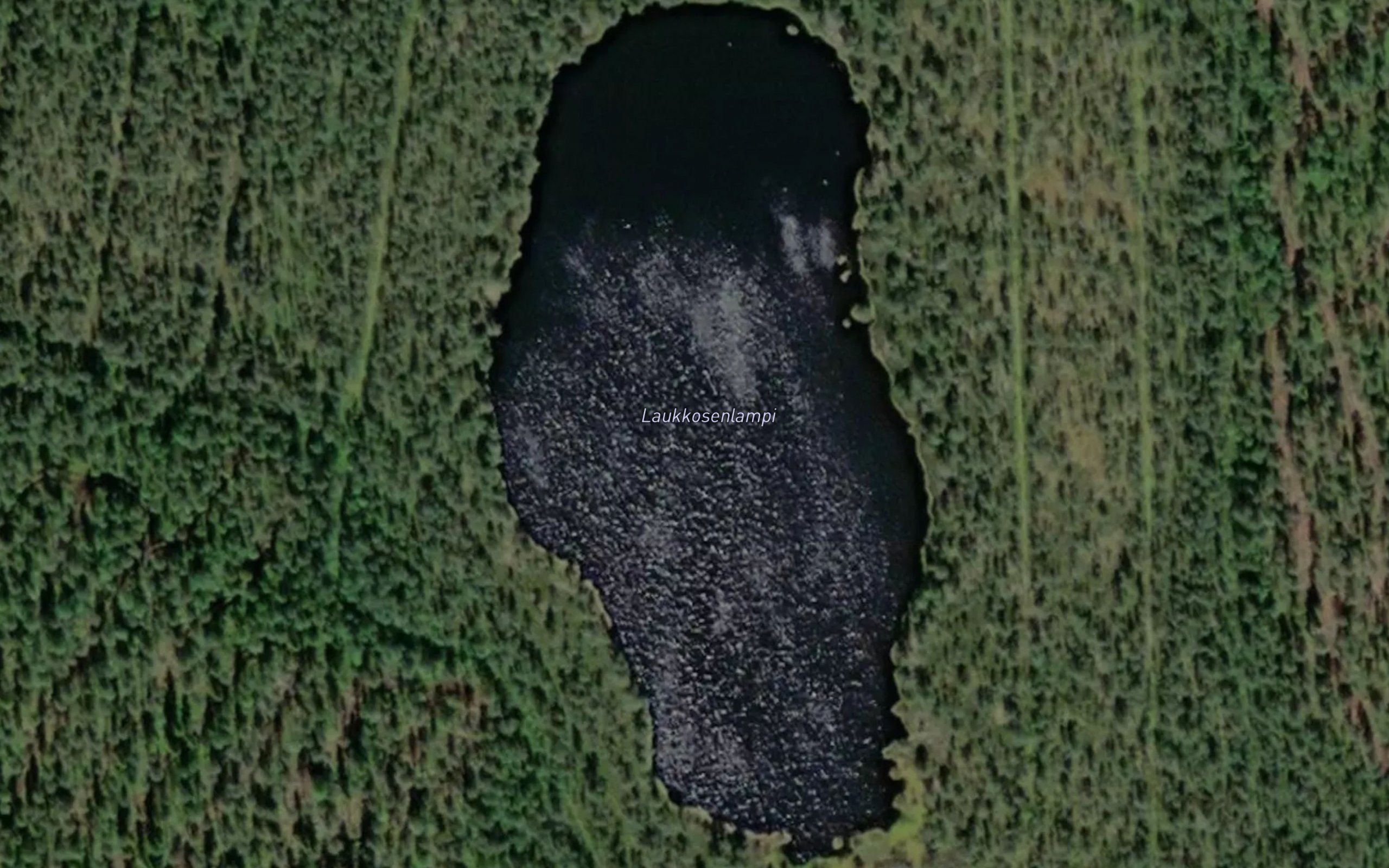 Laukkosenlampi
