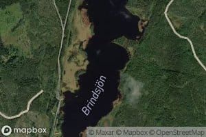 Brindsjon