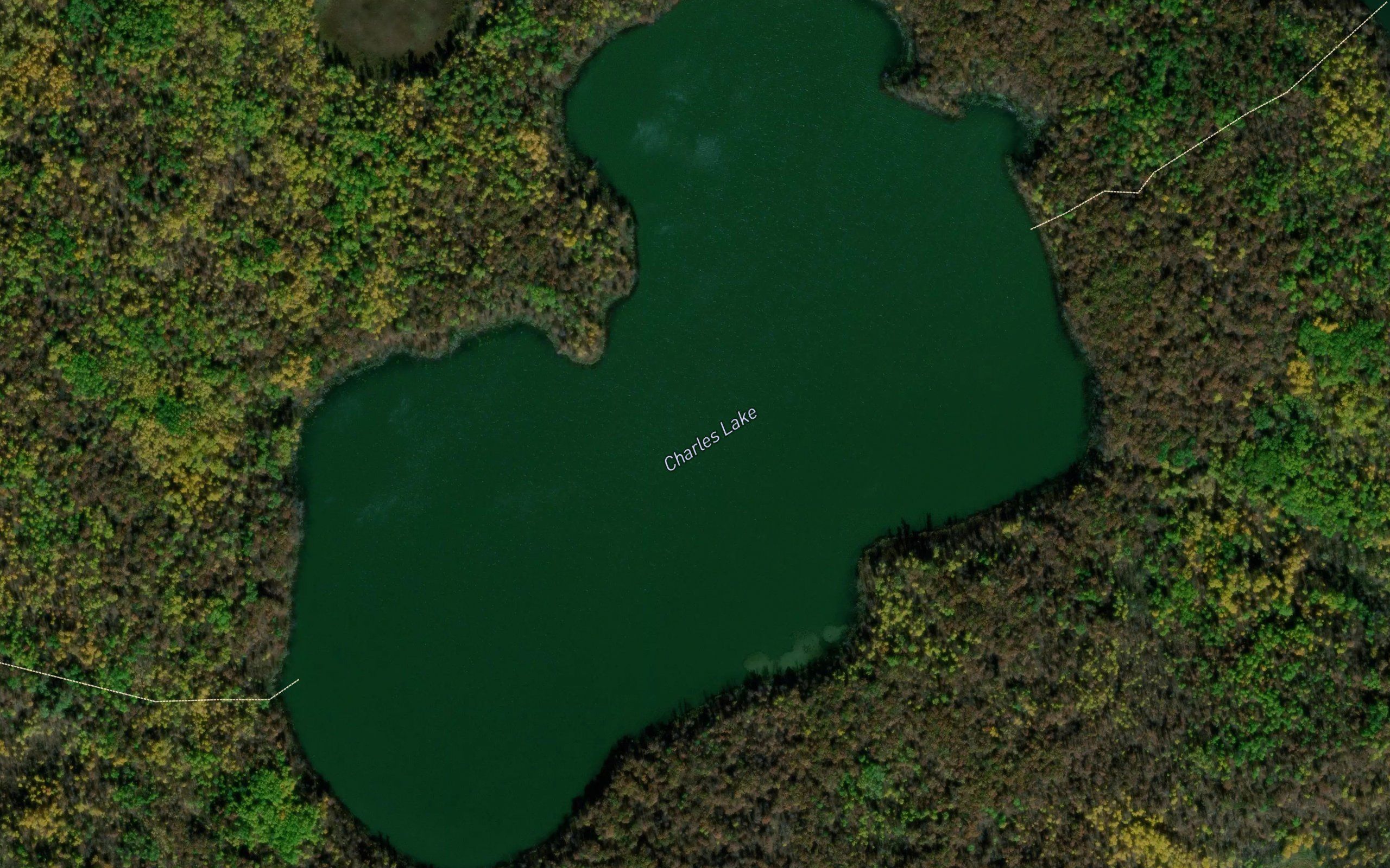Charles Lake