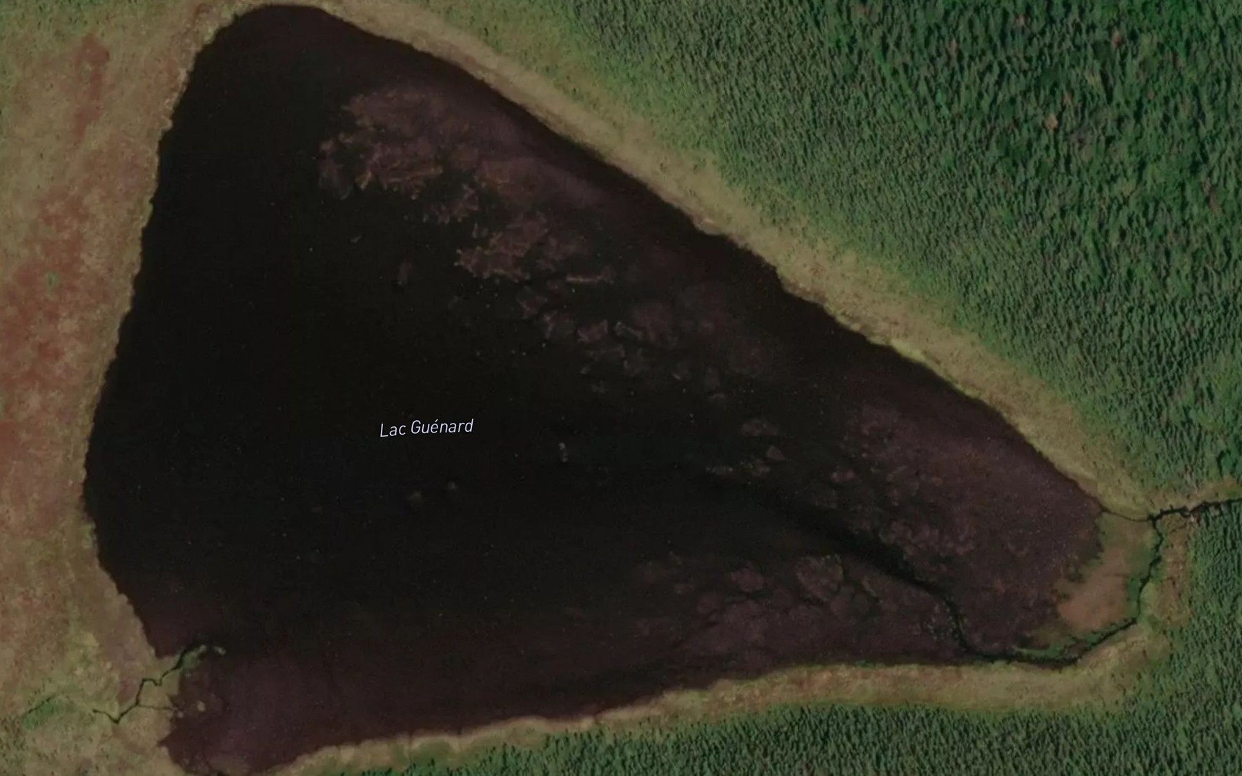 Satellite map of the Lac Guenard
