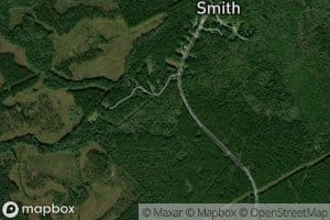 Pinckney Reserve Branch