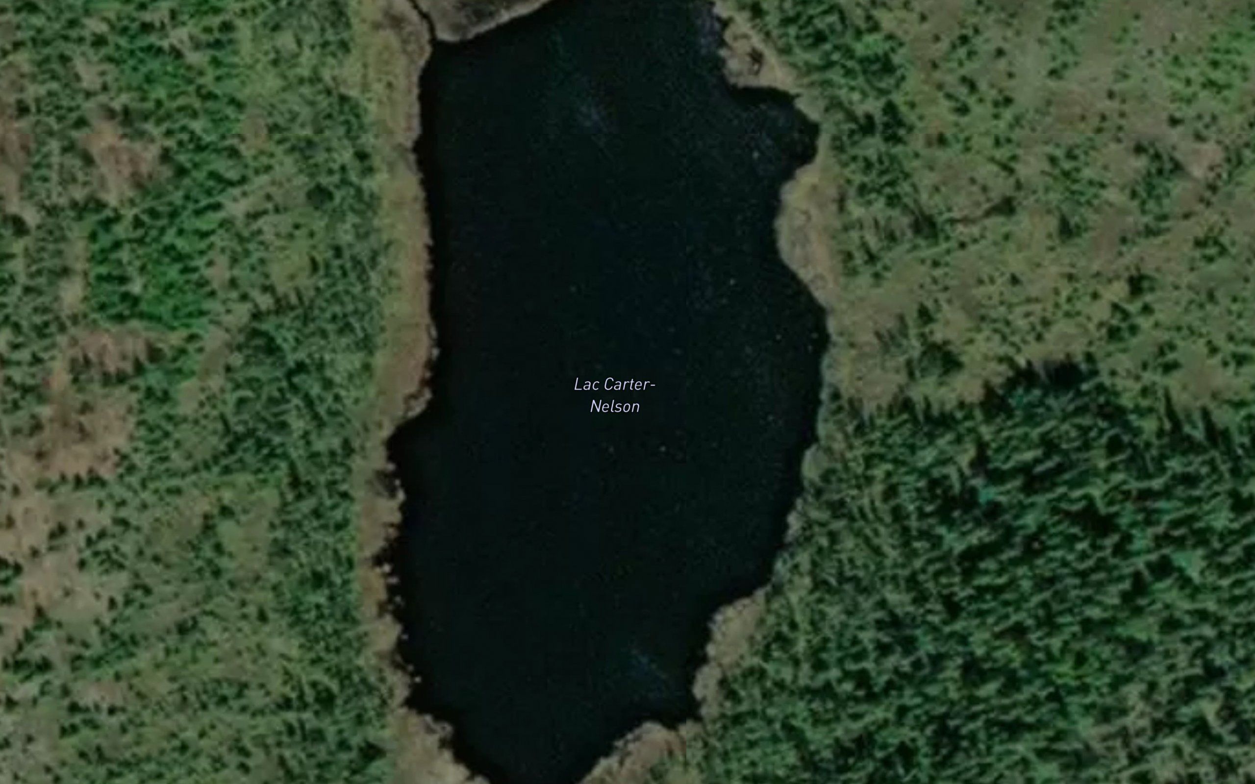 Lac Carter-Nelson