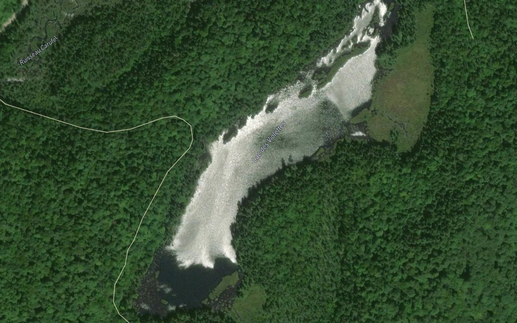 Satellite map of the Lac des Violettes