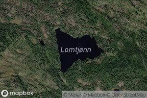 Lomtjonn