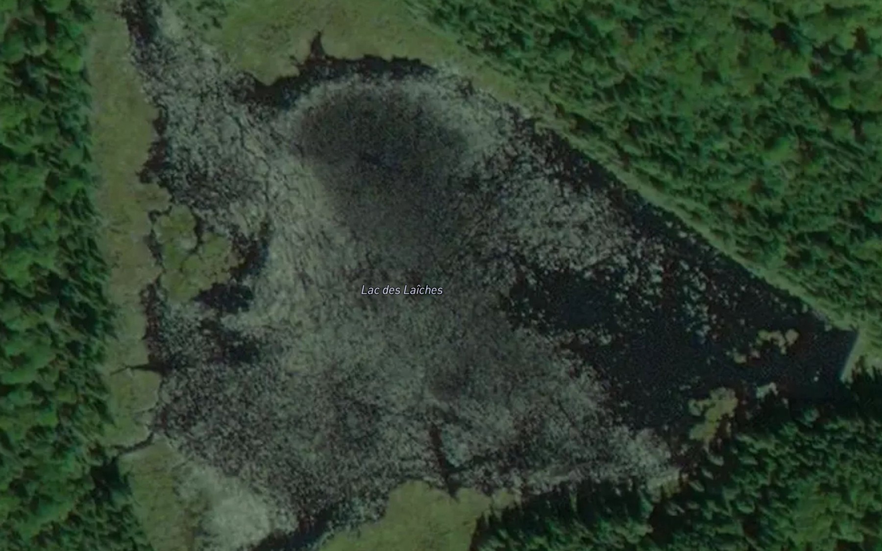 Satellite map of the Lac des Laiches