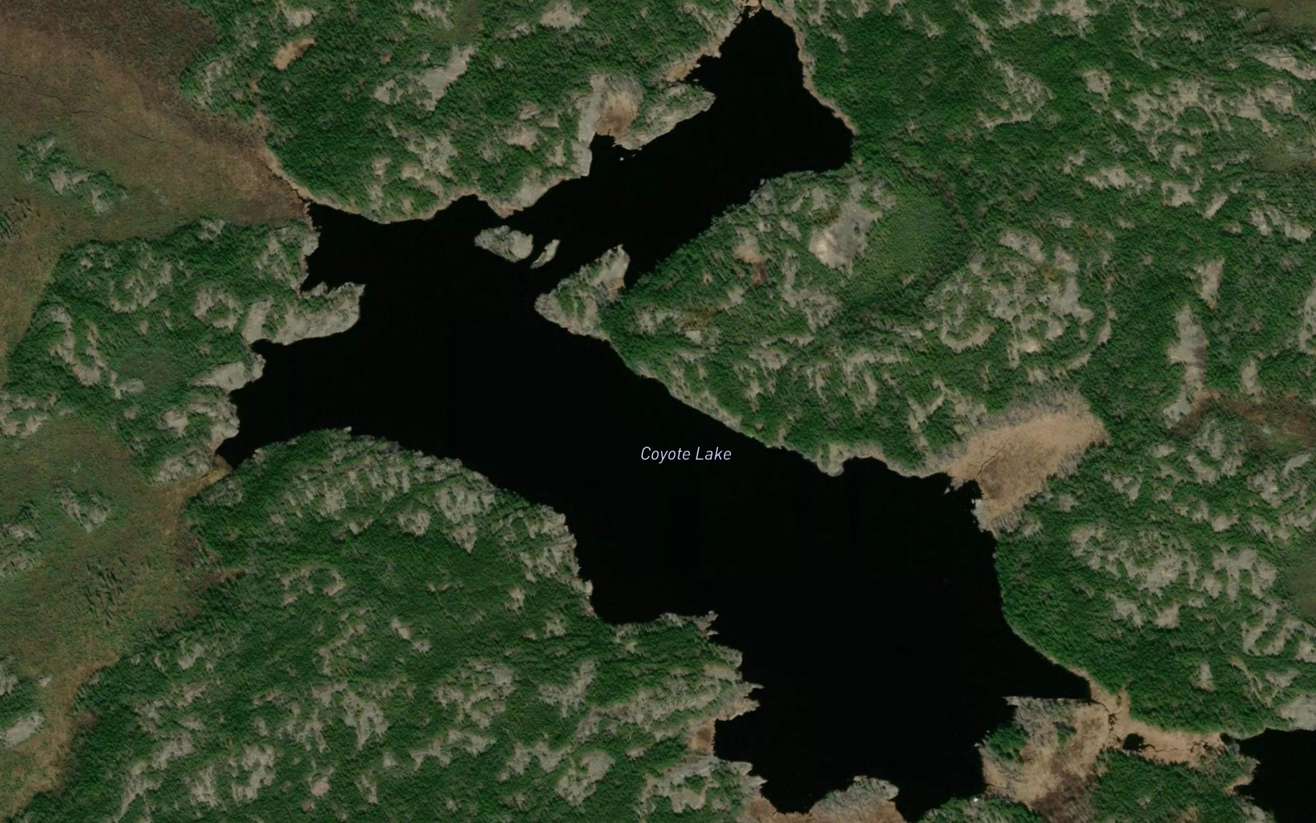 Coyote Lake