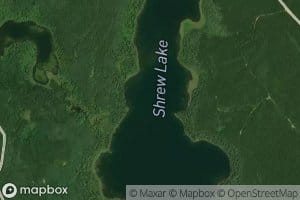 Shrew Lake