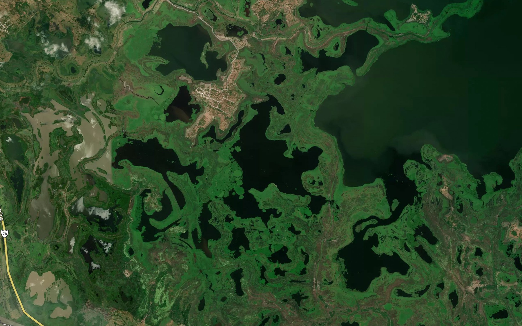 Satellite map of the Cienaga Pajaral