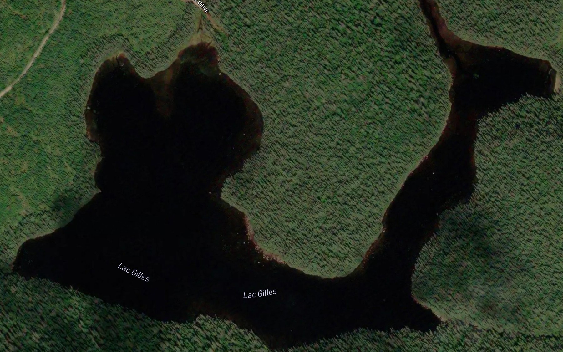 Satellite map of the Lac Gilles