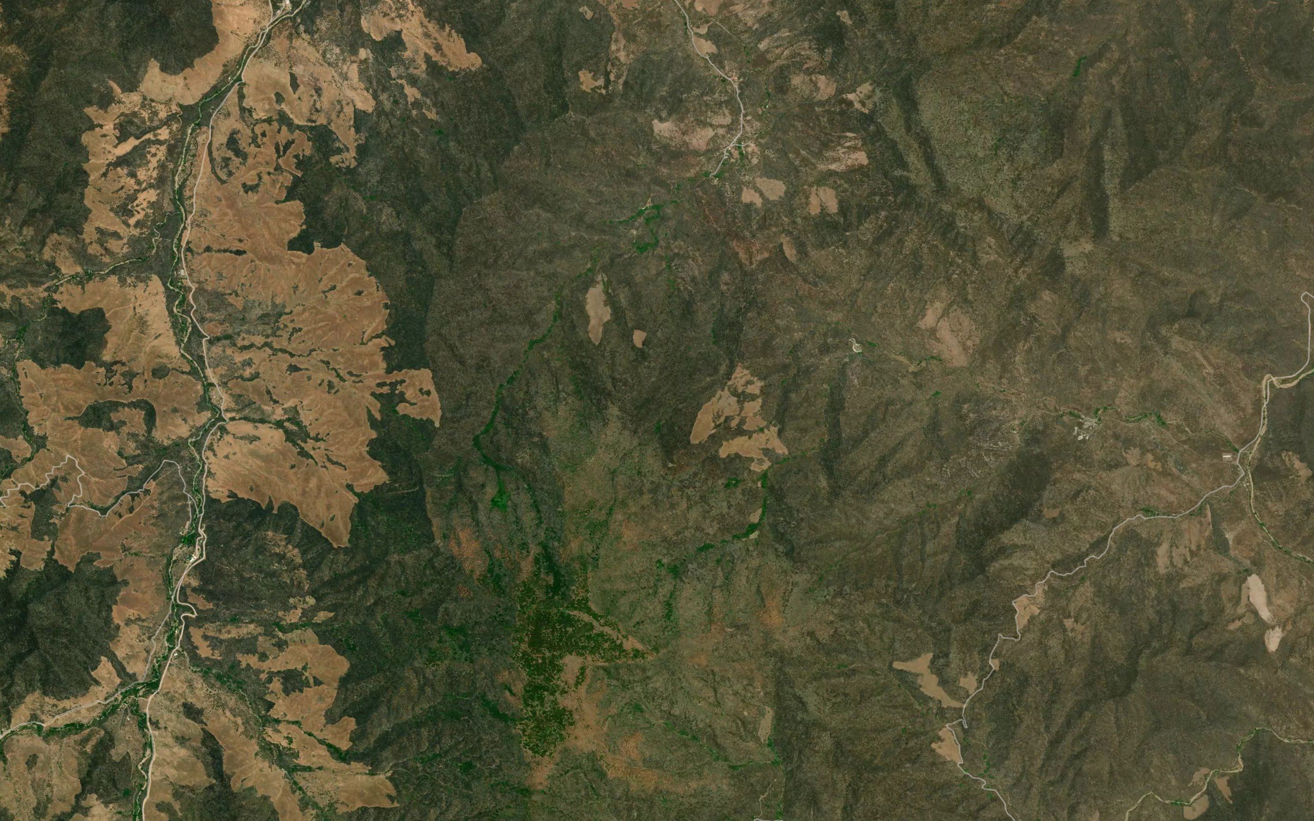 Barranca La Mata de Platano