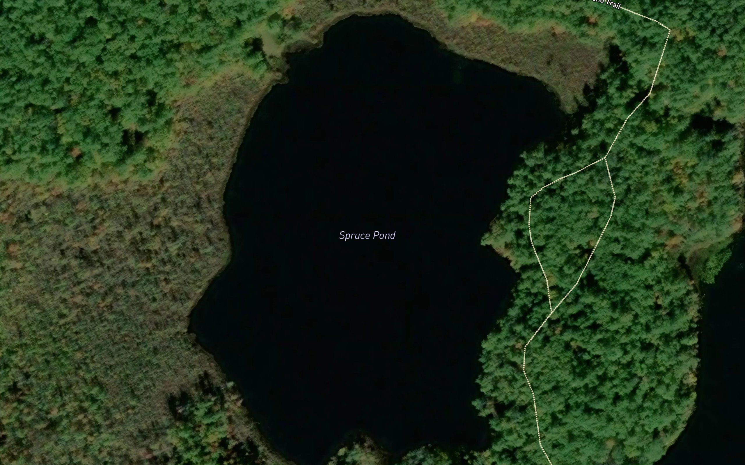 Spruce Pond