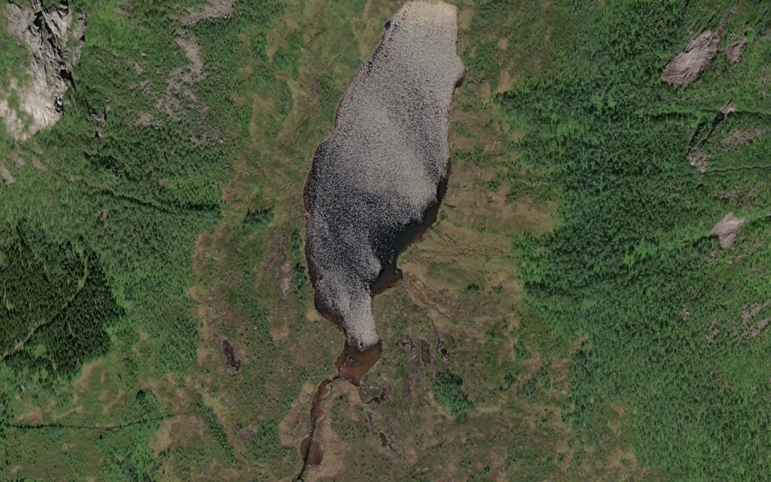 Forfjorddalsvatnet