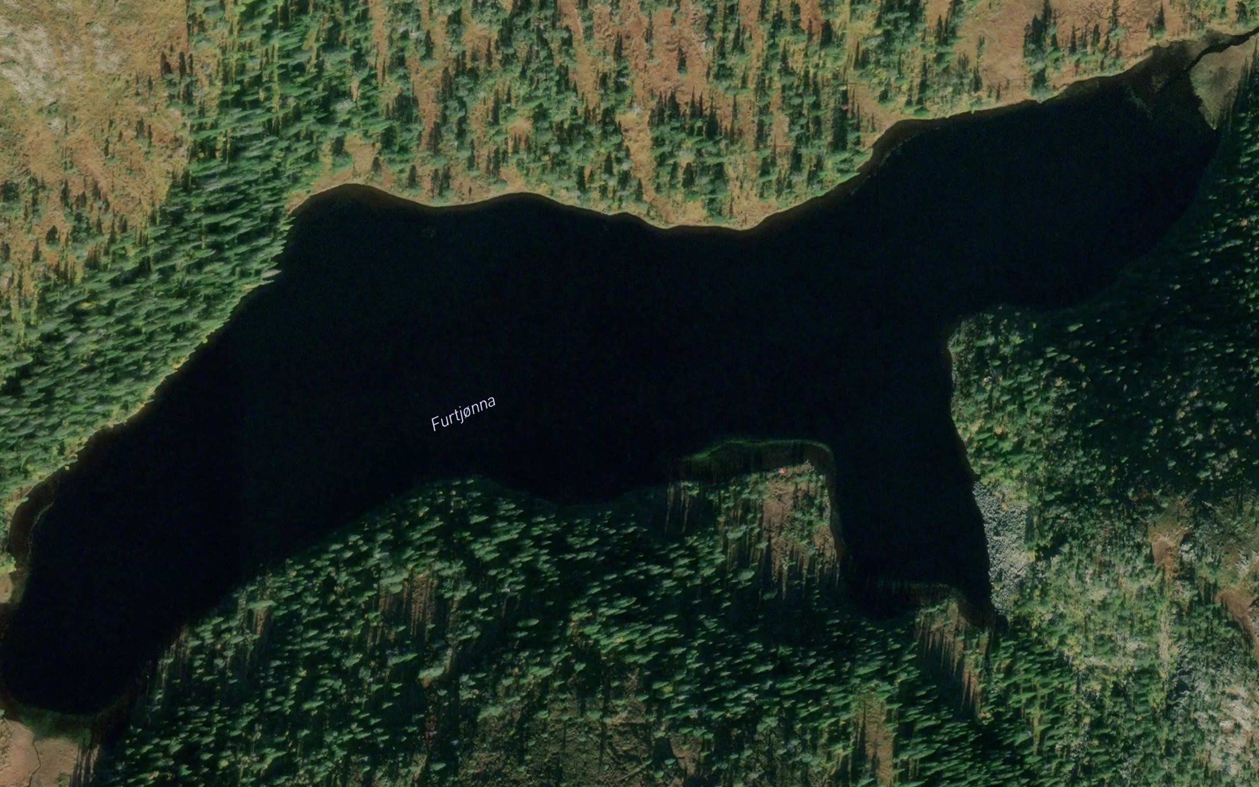 Furtjorna