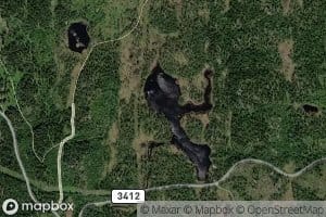 Gregarstjorn