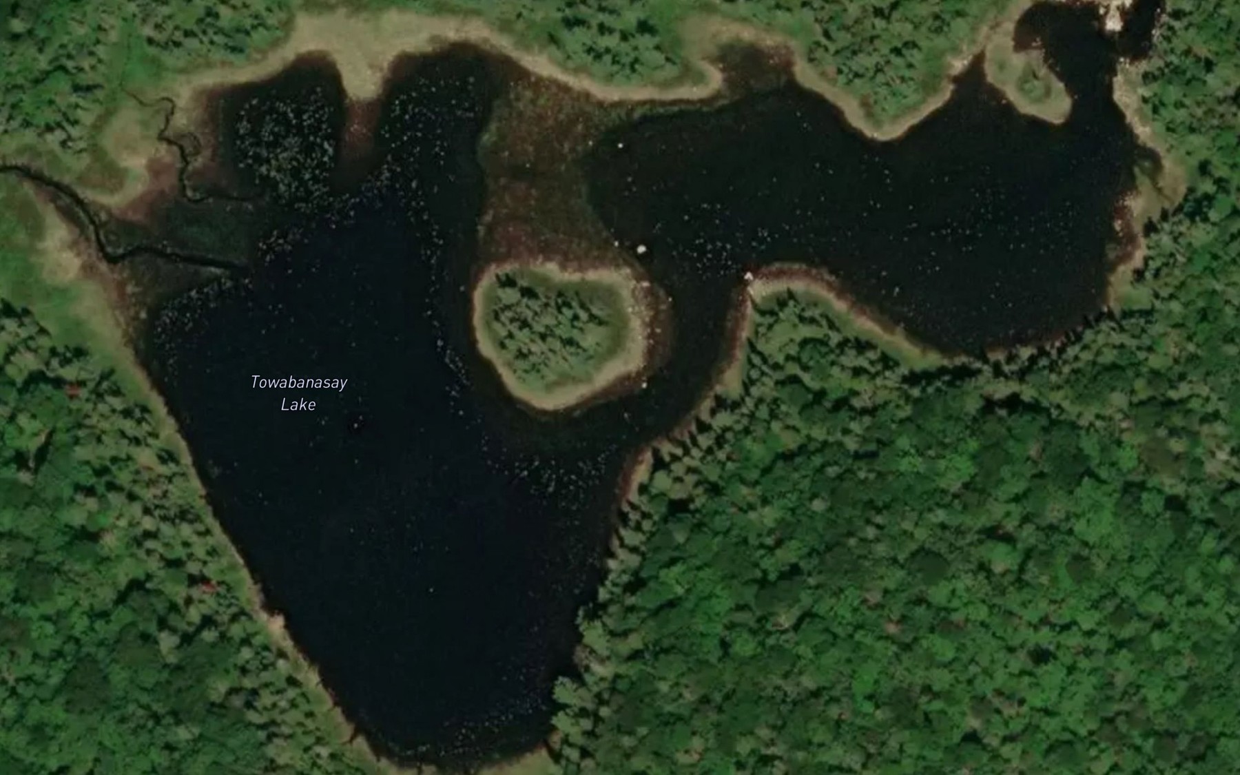Satellite map of the Towabanasay Lake