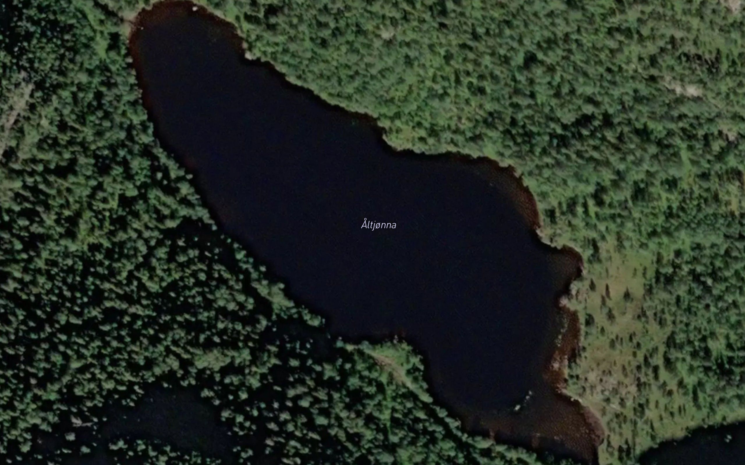 Altjorna