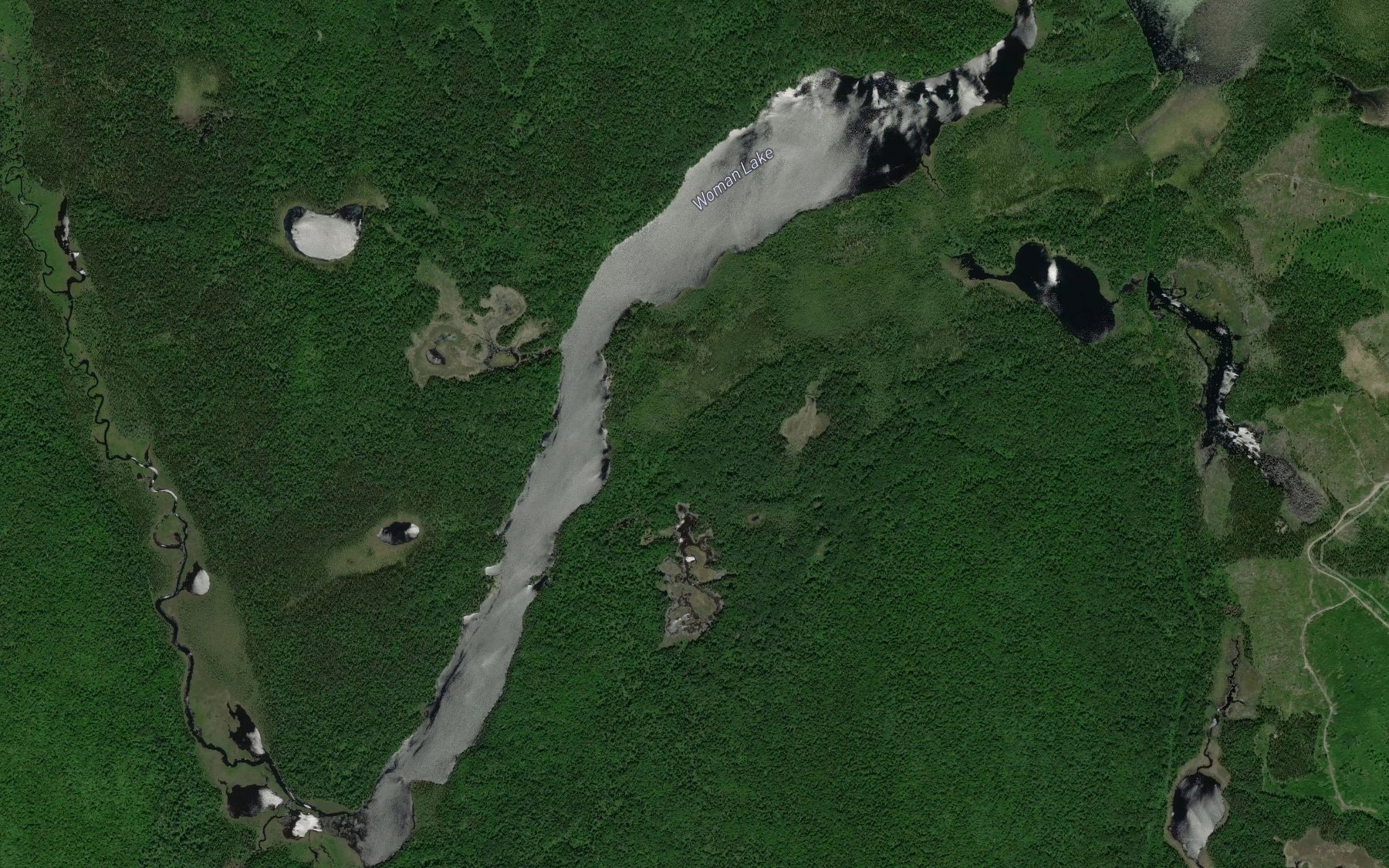 Satellite map of the Woman Lake