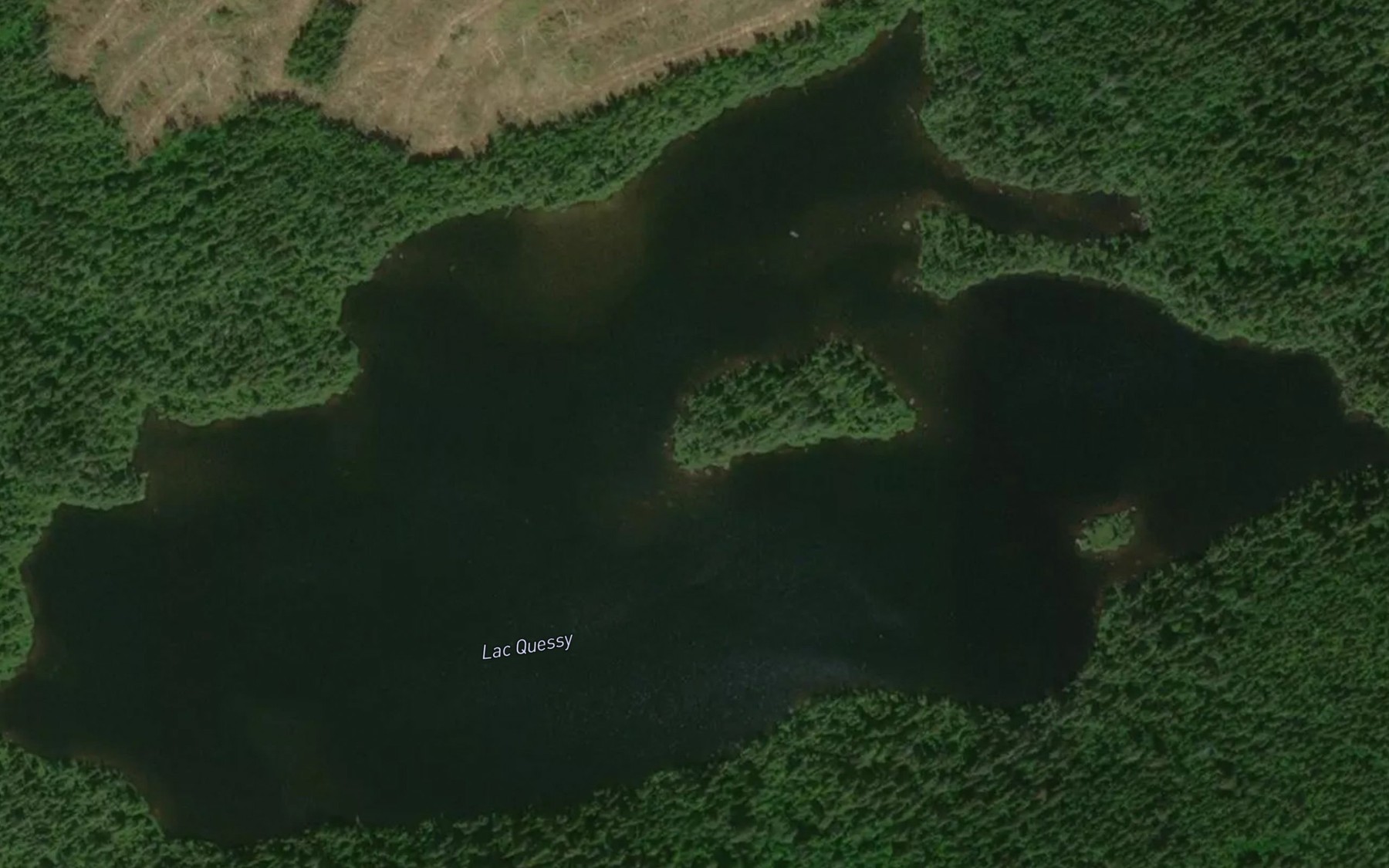 Satellite map of the Lac Quessy