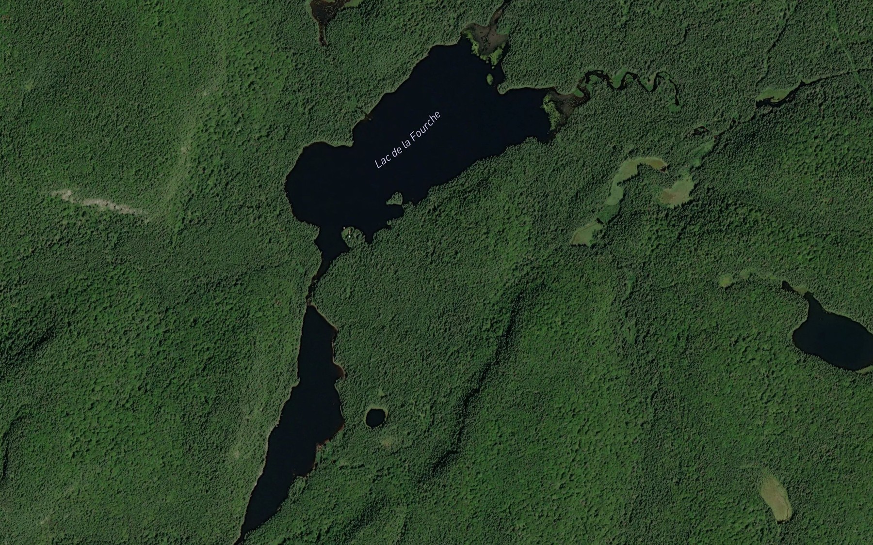 Satellite map of the Lac de la Fourche