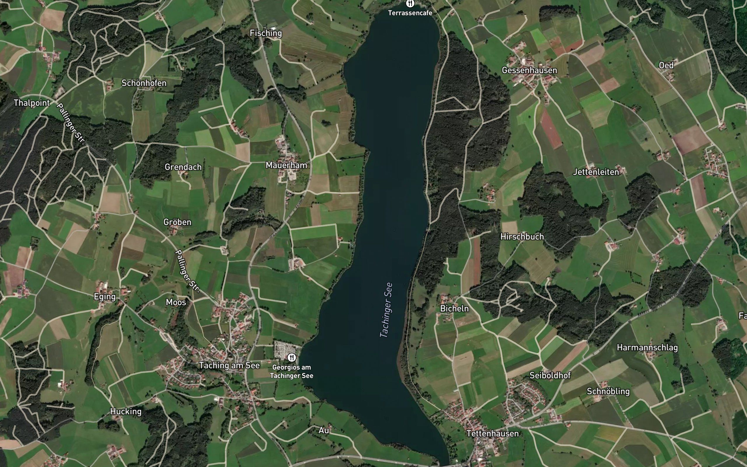 Tachinger See