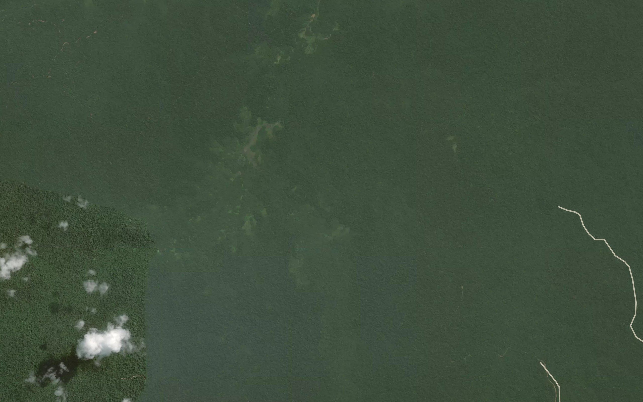 Ngale Mpolo