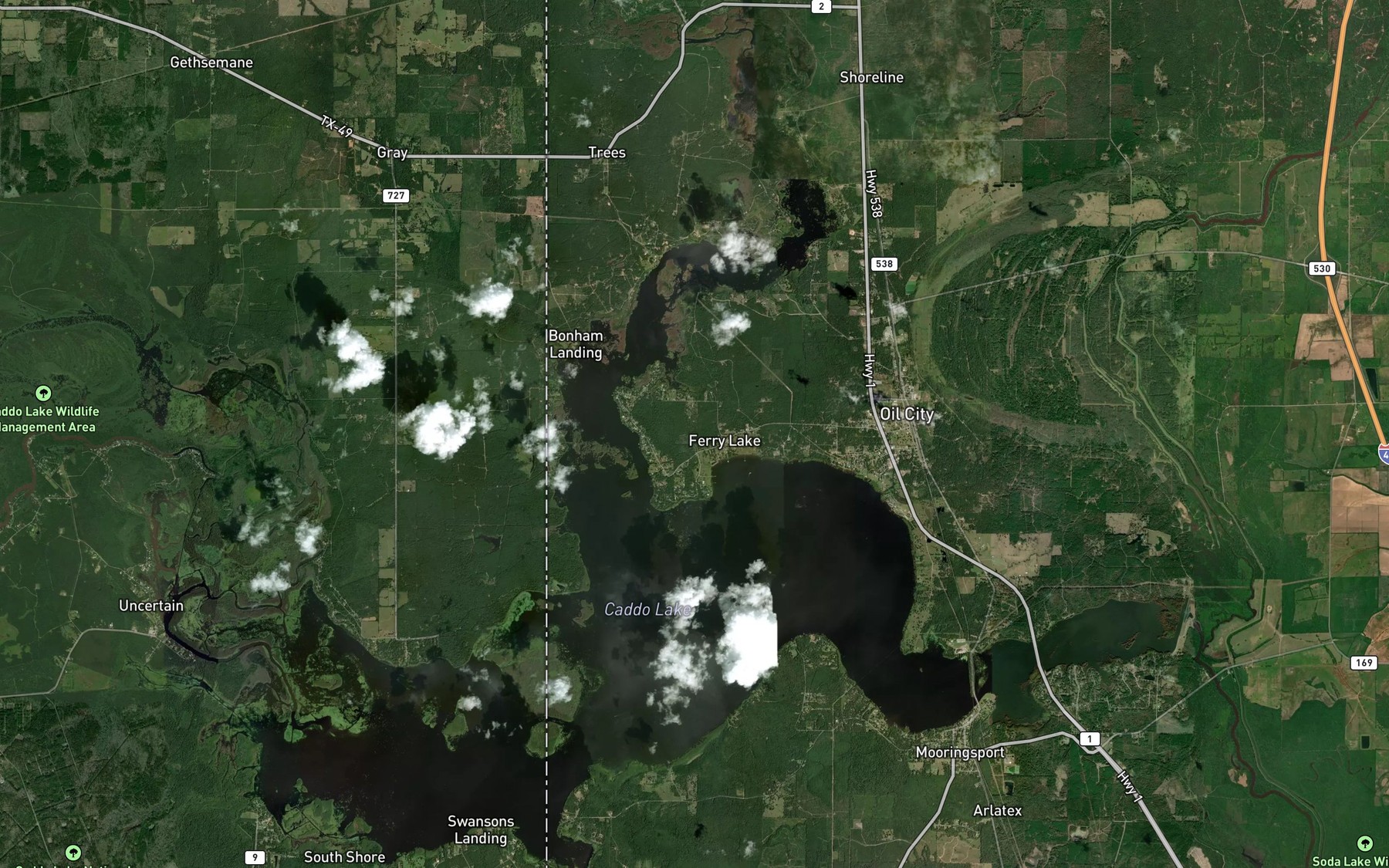 Satellite map of the Caddo Lake