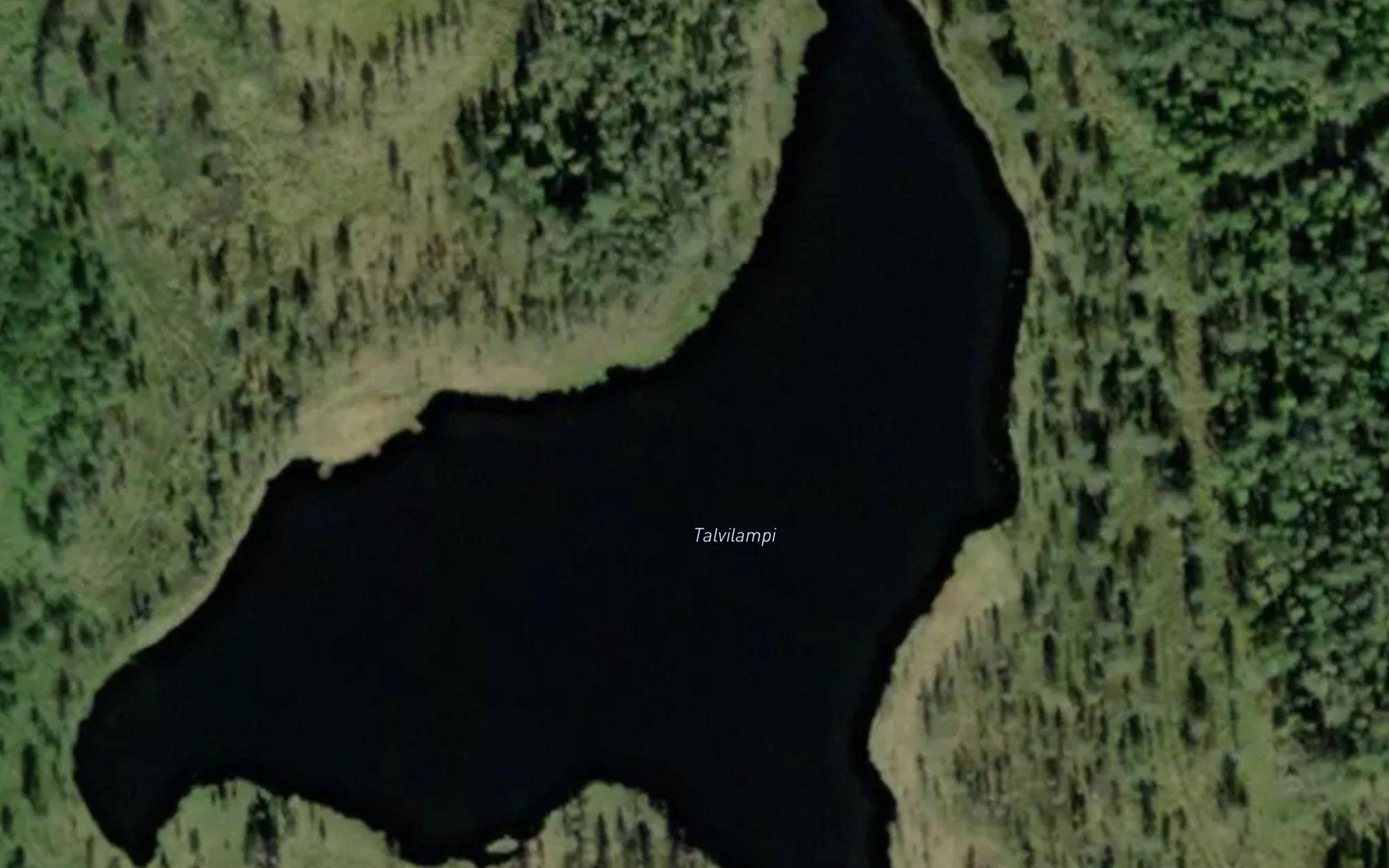 Talvilampi