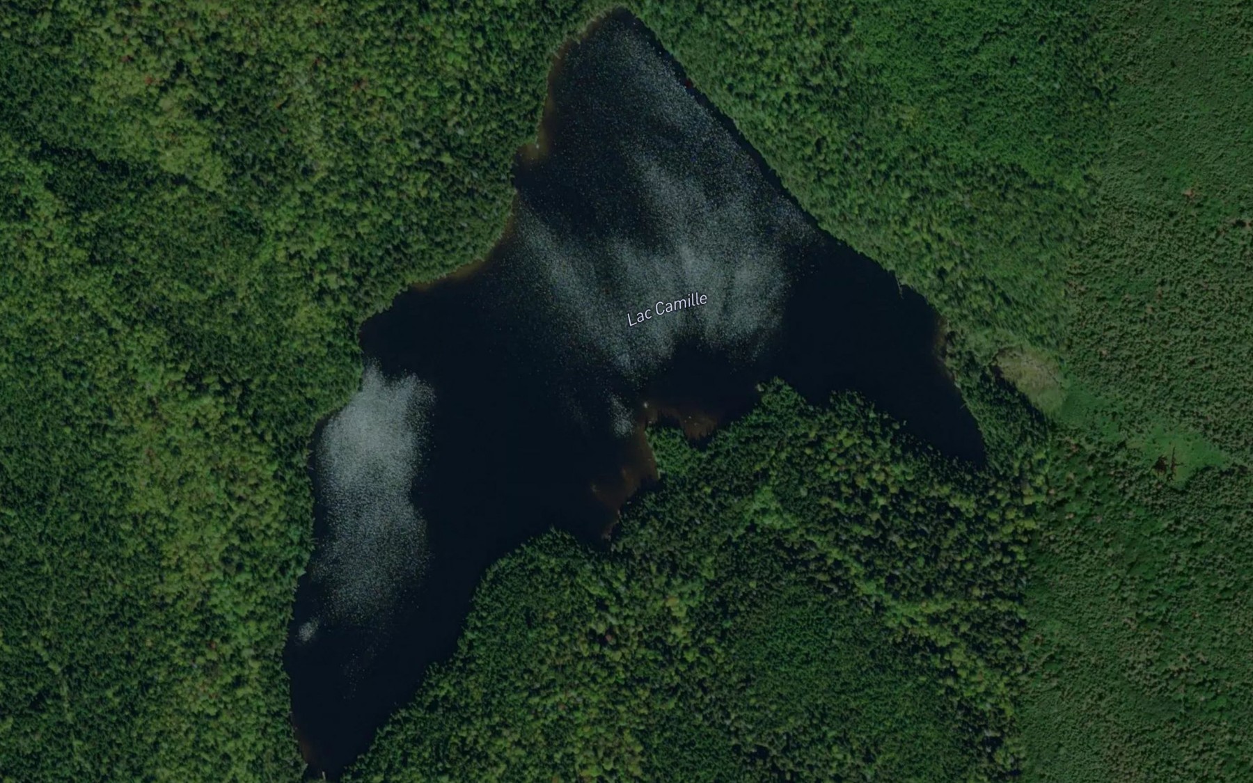 Satellite map of the Lac Camille