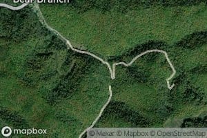 Right Fork Bear Branch