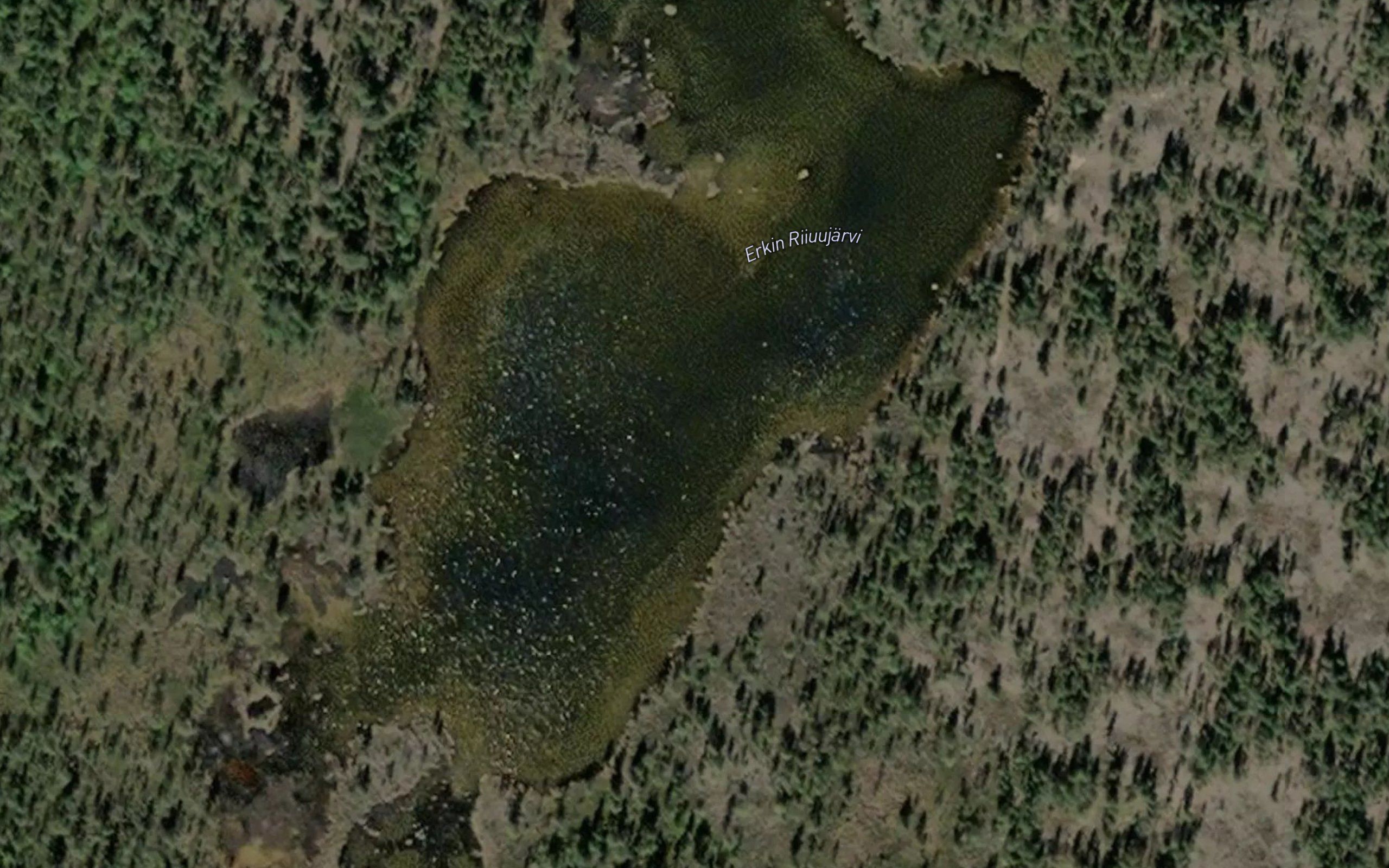 Erkin Riiuujarvi