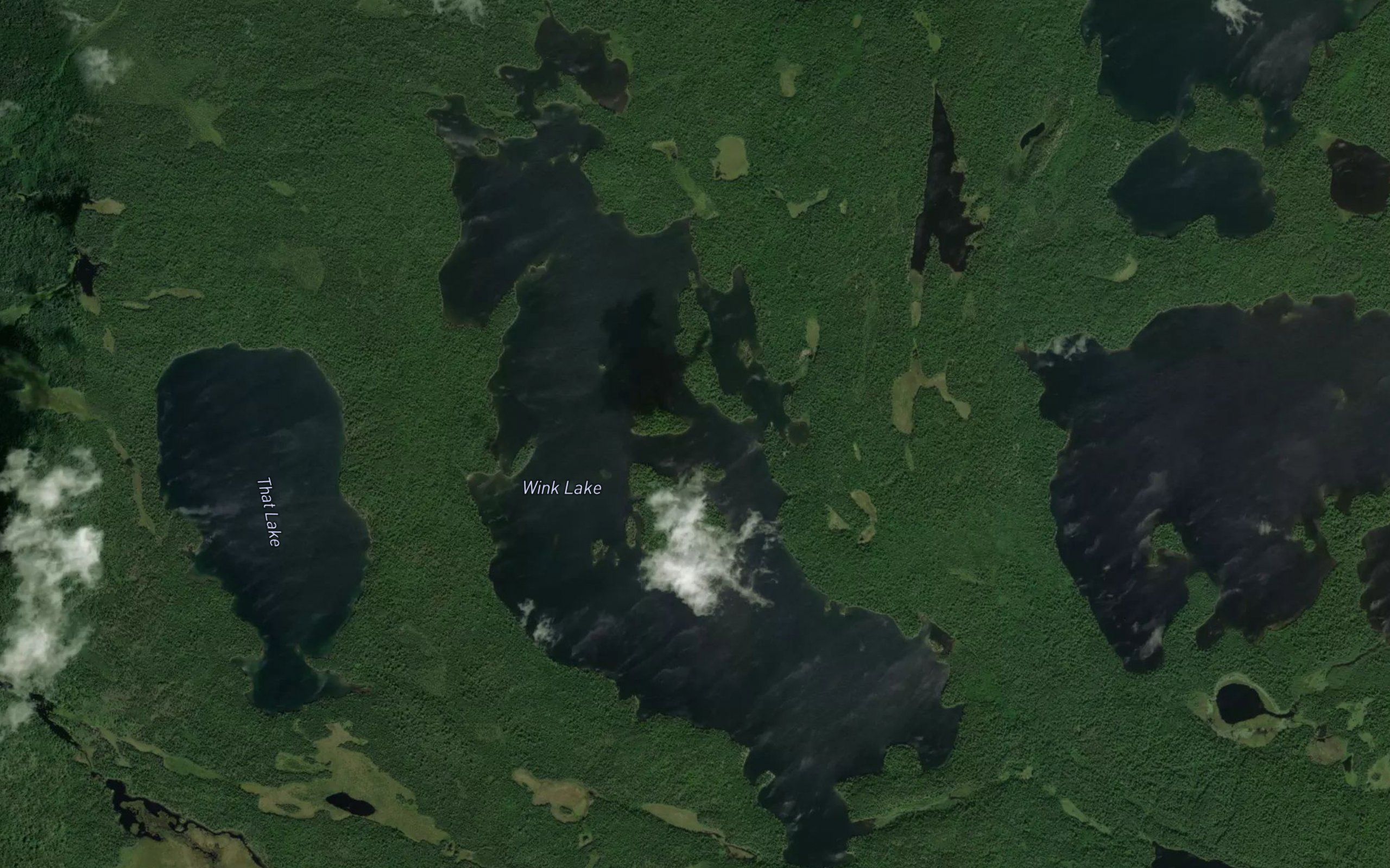 Wink Lake