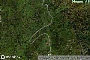 Bubbling Spring Branch